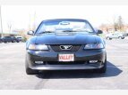 Thumbnail Photo 7 for 2000 Ford Mustang GT Convertible